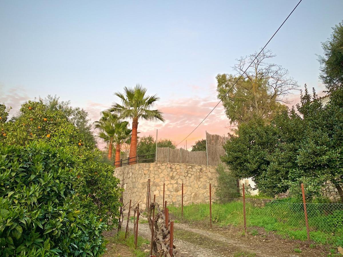 Vivelorural Casa Y Piscina En Zahara De La Sierra Villa Exterior foto